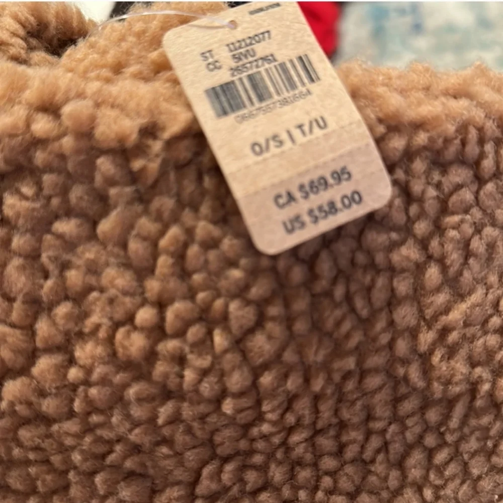 Teddy Tote 🥳 - Picture 6 of 6